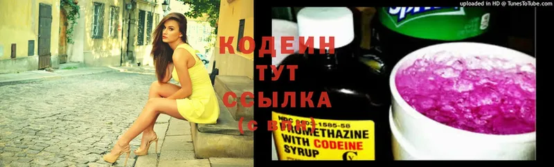 как найти   Злынка  hydra зеркало  Кодеин Purple Drank 